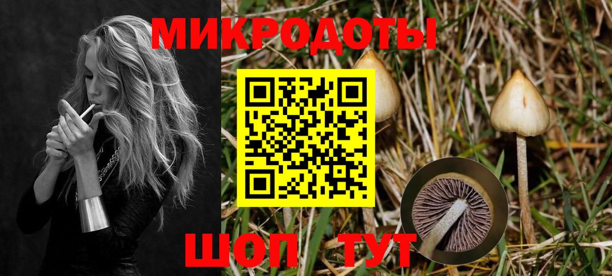 Псилоцибиновые грибы Psilocybe Нижнекамск